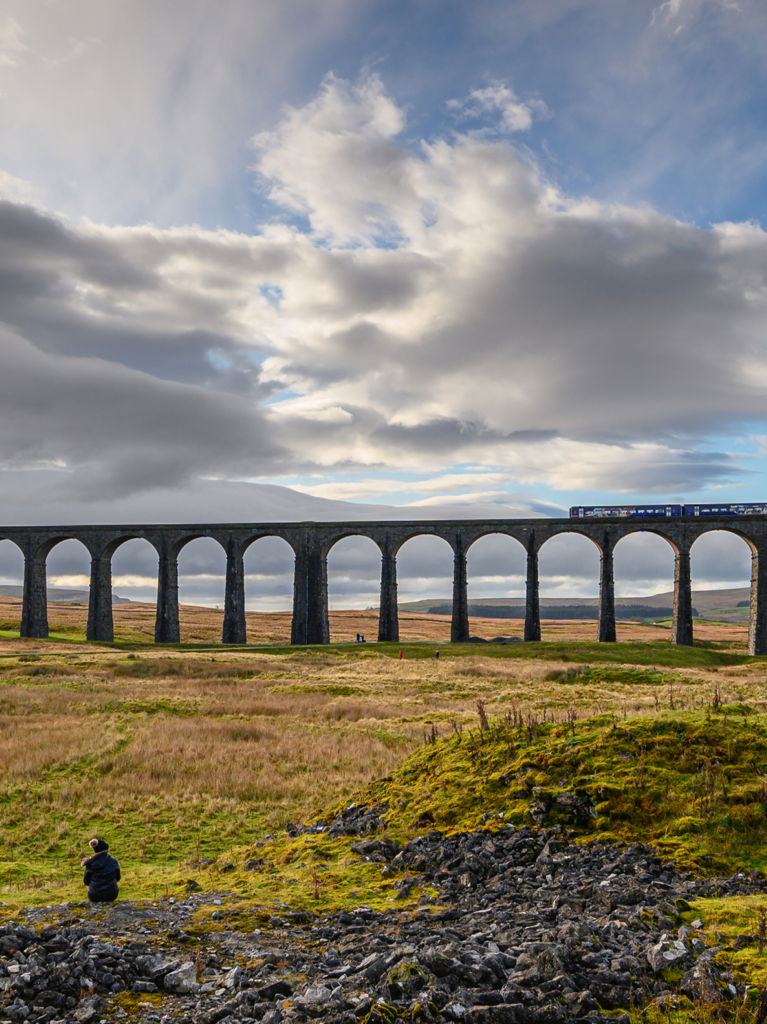 Northern Trains