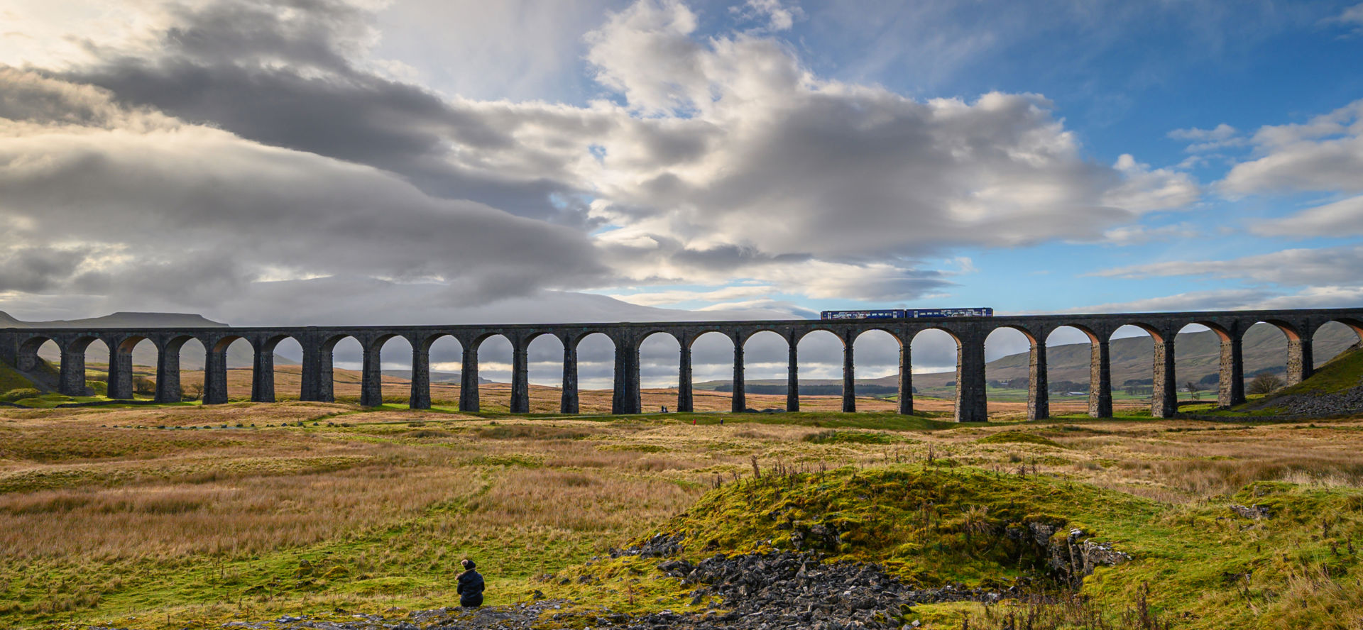 Northern Trains